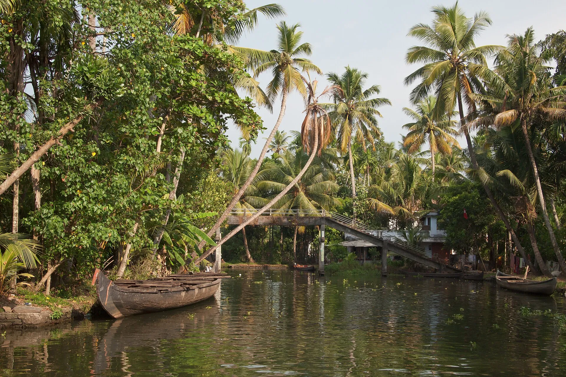 Traditional Kerala kettuvallam houseboat moored among coconut palms on the Vembanad backwaters