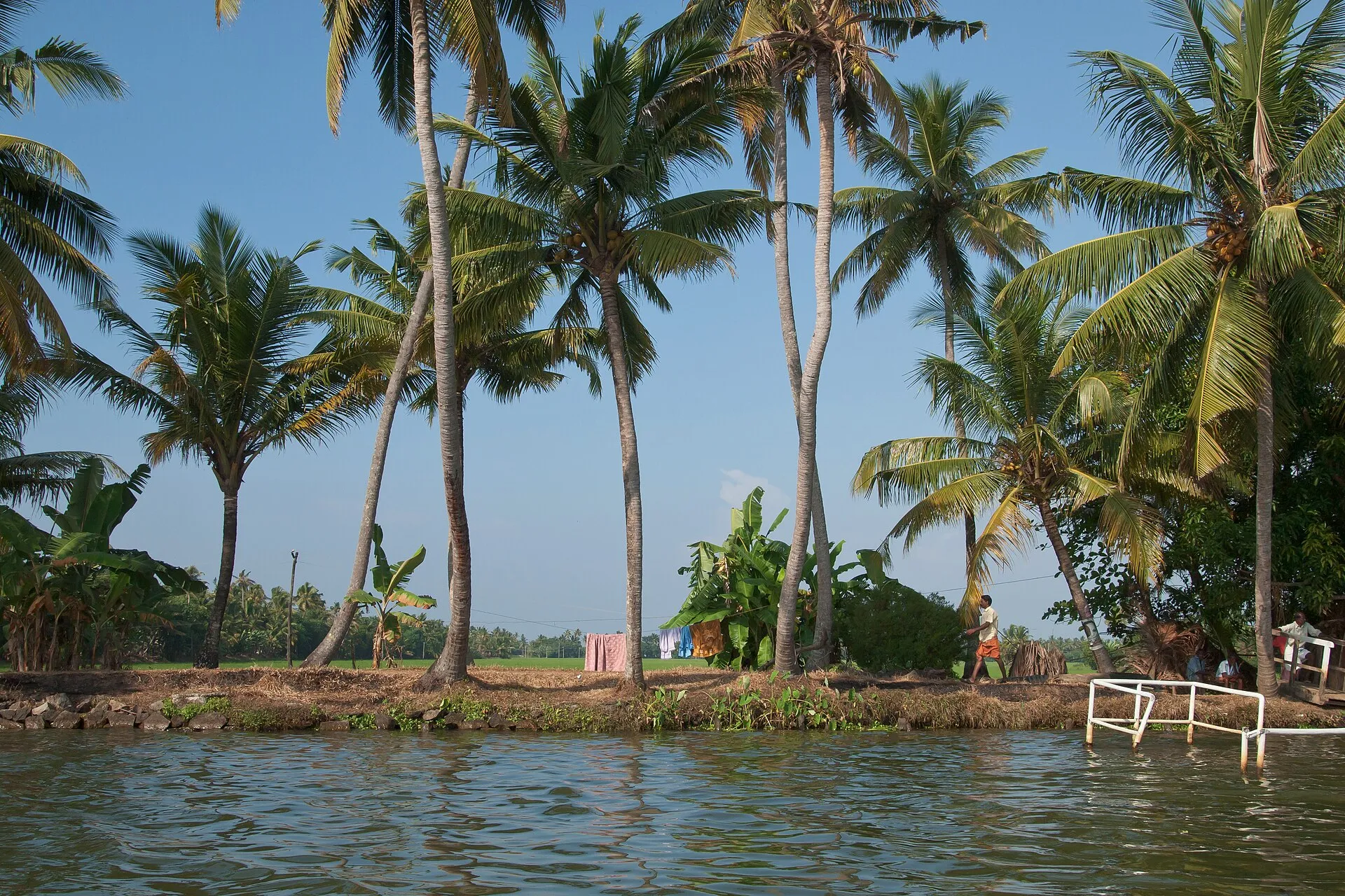 Three Bedroom Houseboat in Alleppey, Kerala