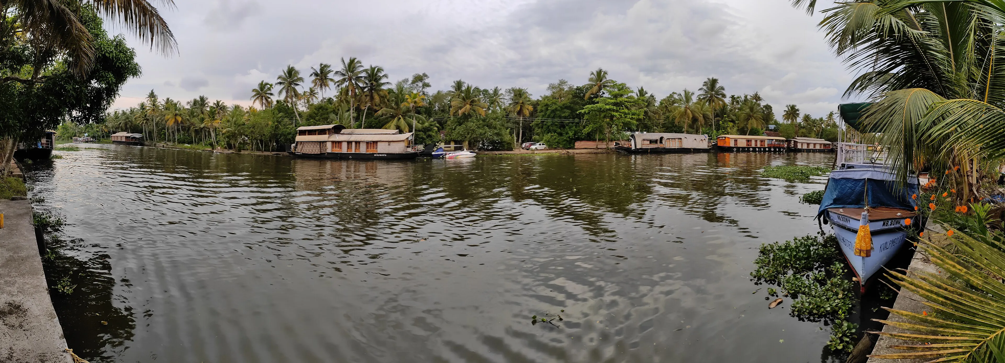 Panorama of the Kerala backwaters with houseboats among the palms