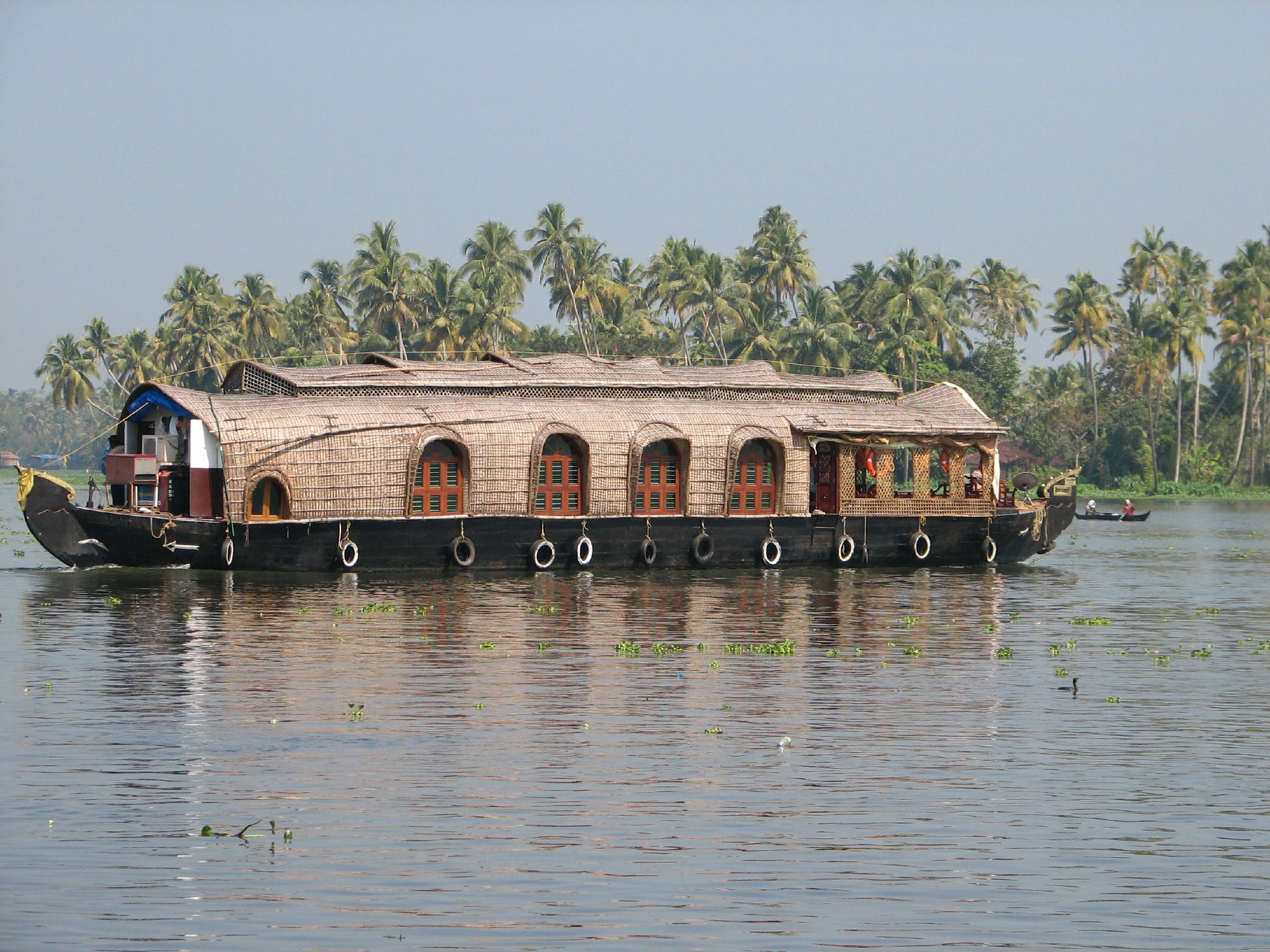Coconut palms mirrored in the still Vembanad backwaters