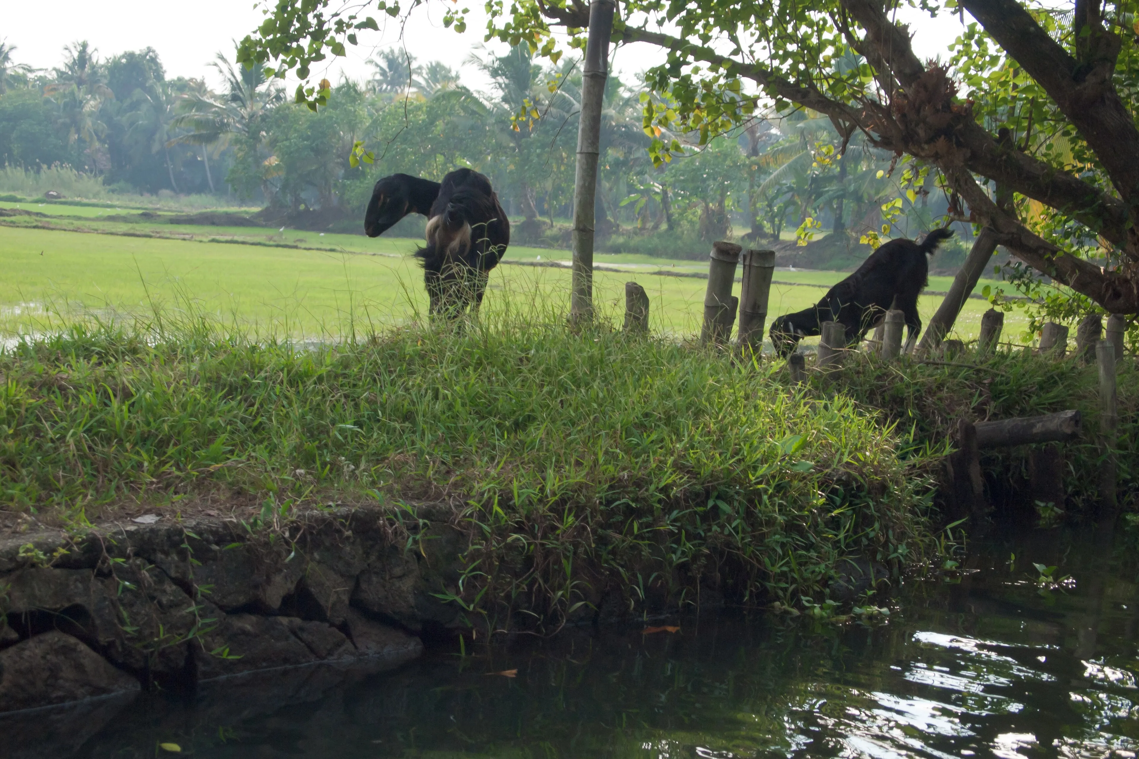 Kerala Family Holiday Tour — Kerala