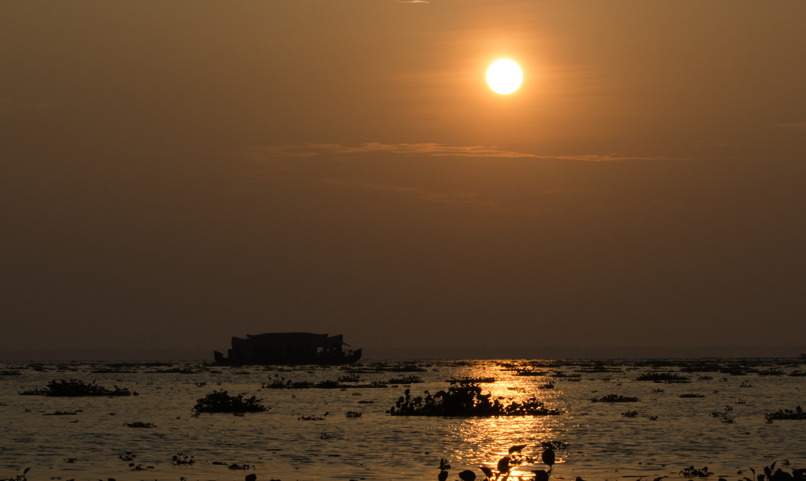 Kayaking through the mangrove-lined Alleppey canals