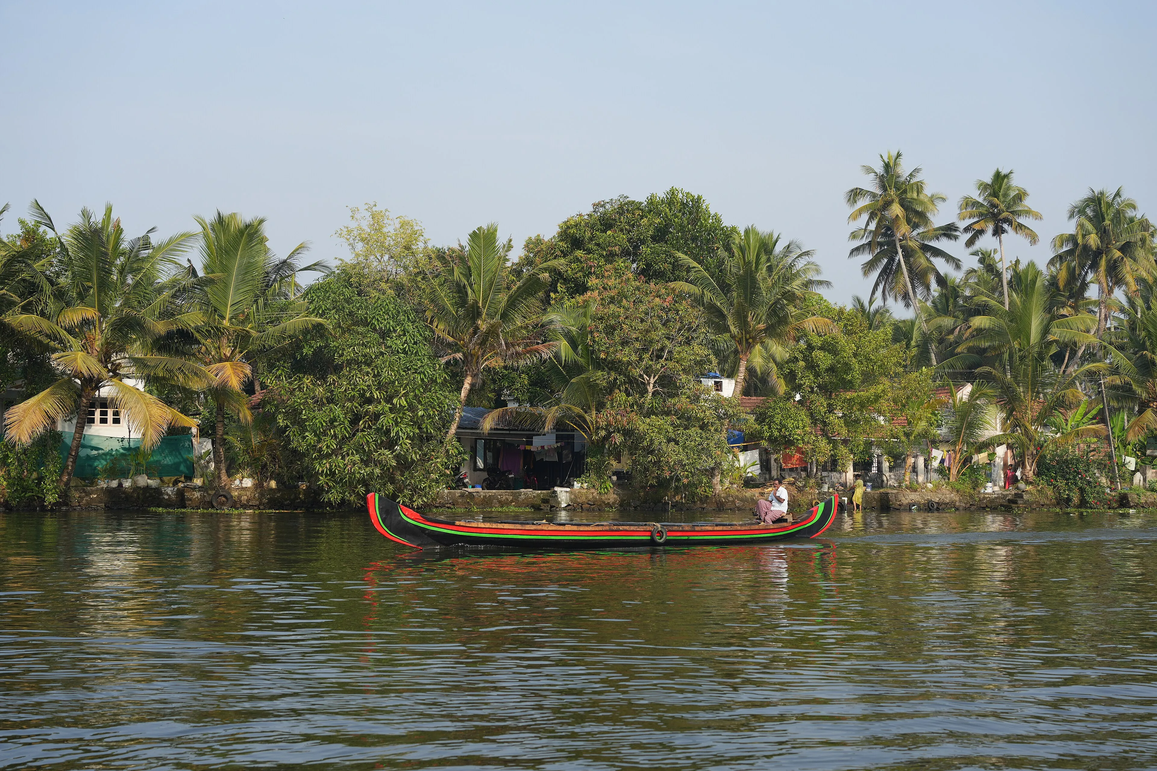 Wayanad, Kerala — Forested hills, waterfalls and wildlife in northern Kerala.